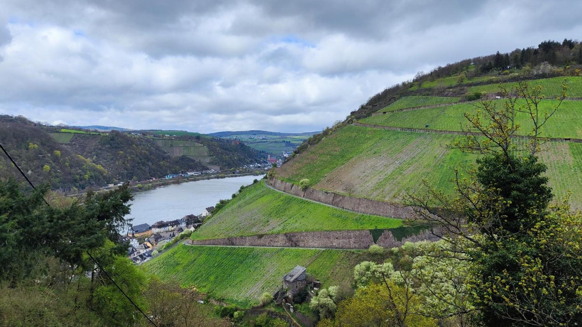 דירות קאוב Direkt Am Rhein Mit Burgblick Nahe Rheinsteig Bis 8 Personen, 2 Baeder, 4 Zimmer, Kueche, Netflix מראה חיצוני תמונה