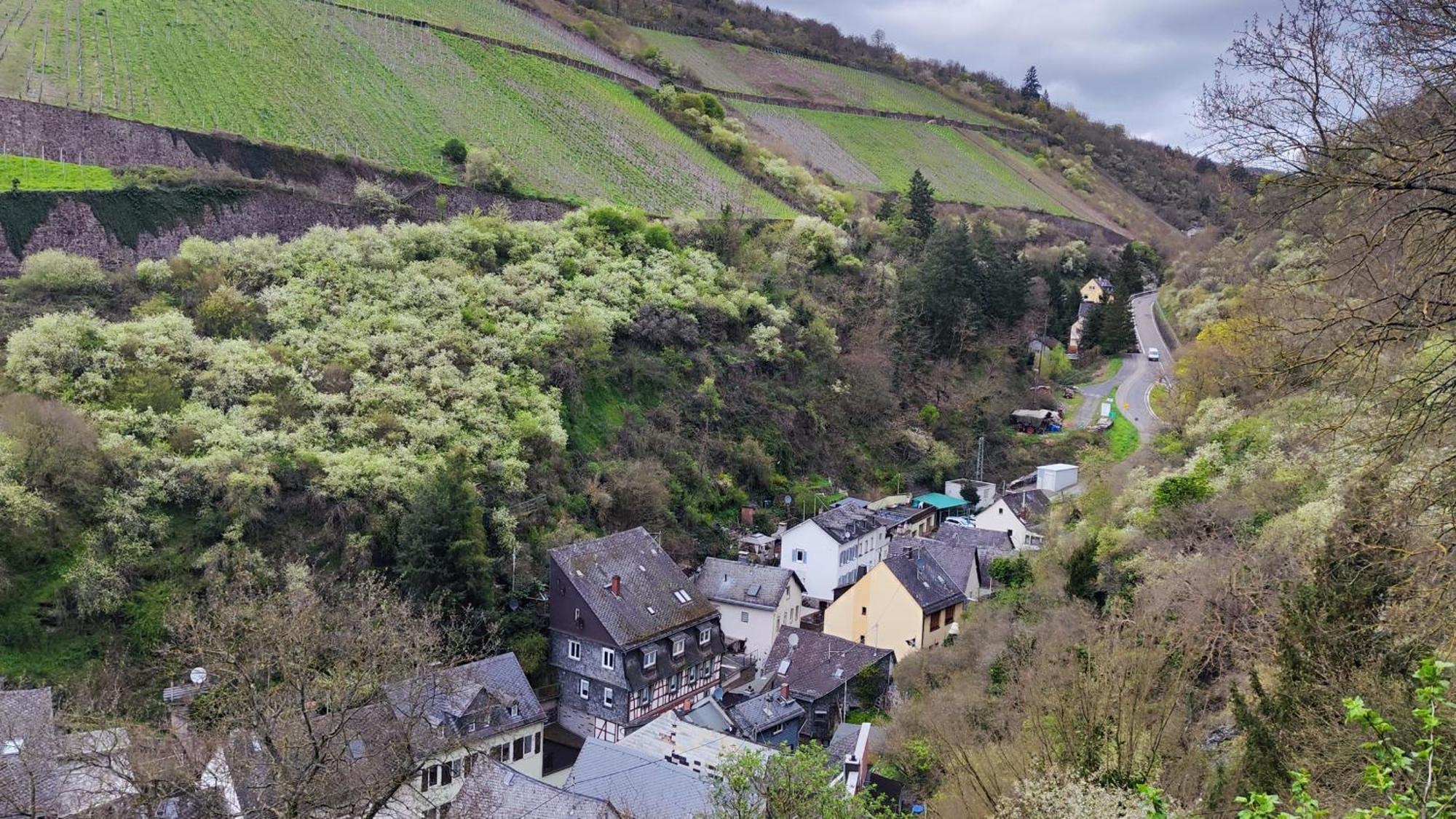 דירות קאוב Direkt Am Rhein Mit Burgblick Nahe Rheinsteig Bis 8 Personen, 2 Baeder, 4 Zimmer, Kueche, Netflix מראה חיצוני תמונה
